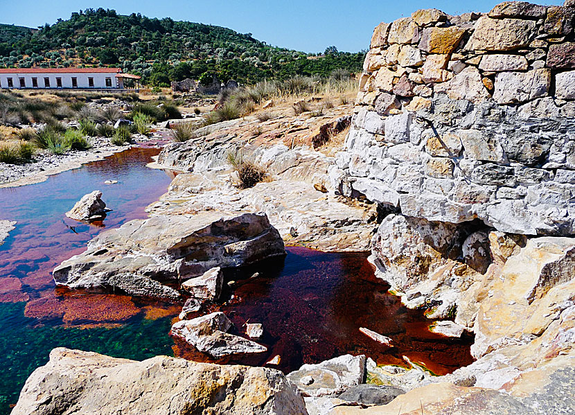 Missa inte Hot Springs of Polichnitos när du besöker Hot Springs of Eftalou på Lesbos.