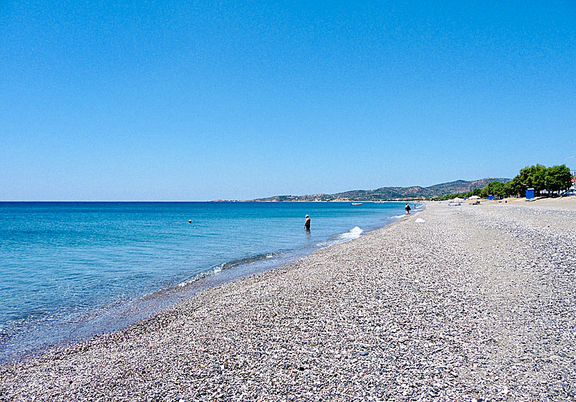 Missa inte Vatera beach när du besöker Hot Springs of Polichnitos på Lesbos.