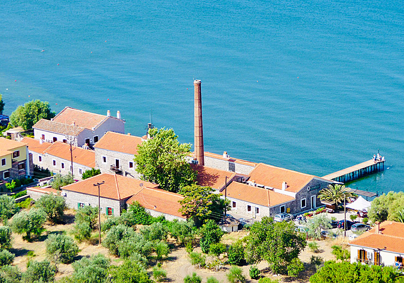 Den gamla olivoljefabriken i Molyvos som idag är Hotel Olive Press.