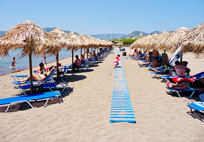 Missa inte Skala Kalloni beach när du fågelskådar vid våtmarken Kalloni Salt Pans på Lesbos.