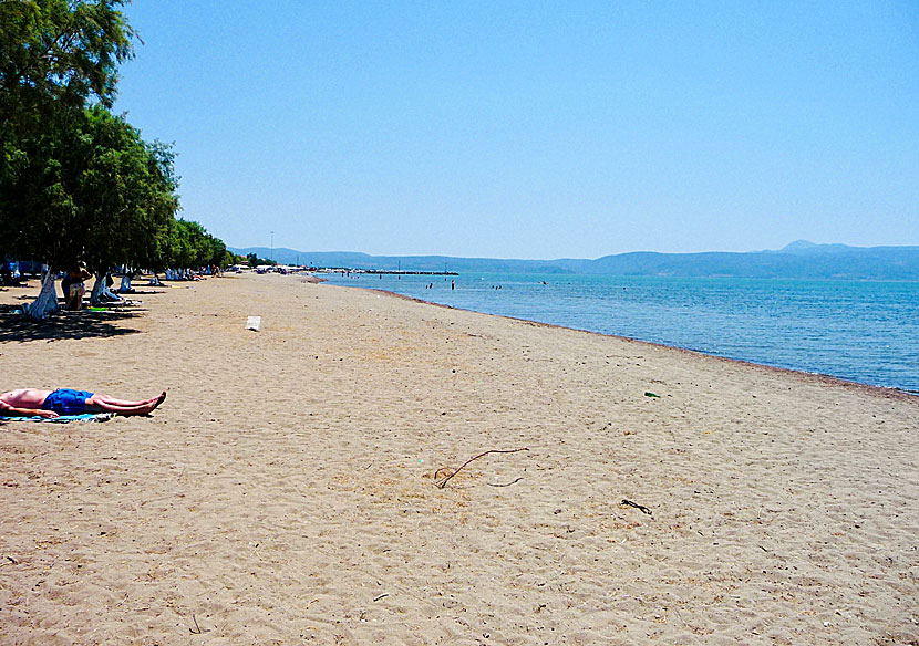 Den långa sandstranden i Skala Kalloni.