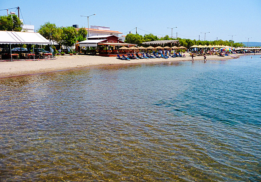 Sandstranden i Kalloni Bay är en av de längsta på Lesbos.