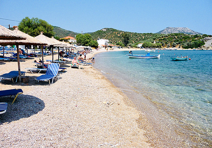 Lesbos bästa stränder. Tarti beach.