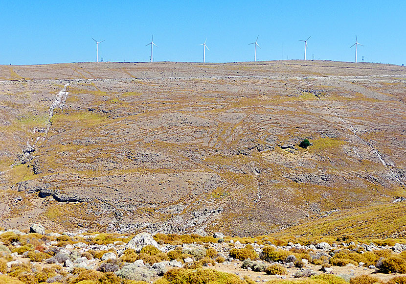 Landskapet där den förstenade skogen på Lesbos ligger ser ut som på planeten Mars. 