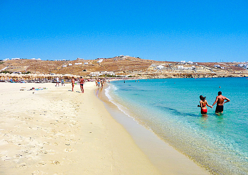 Kalo Livadi är av Mykonos många fantastiska sandstränder. 