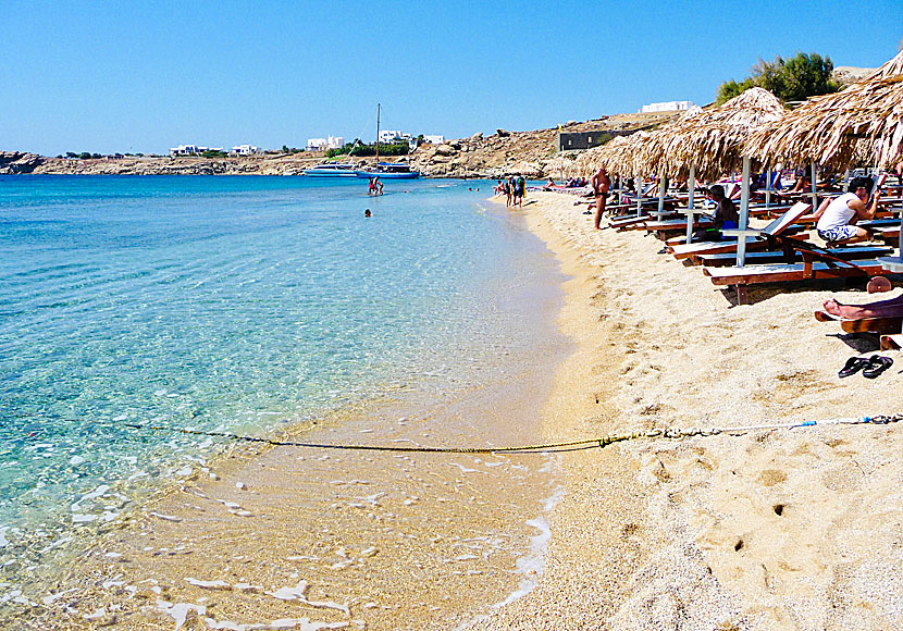 Paradise beach på Mykonos i Grekland.