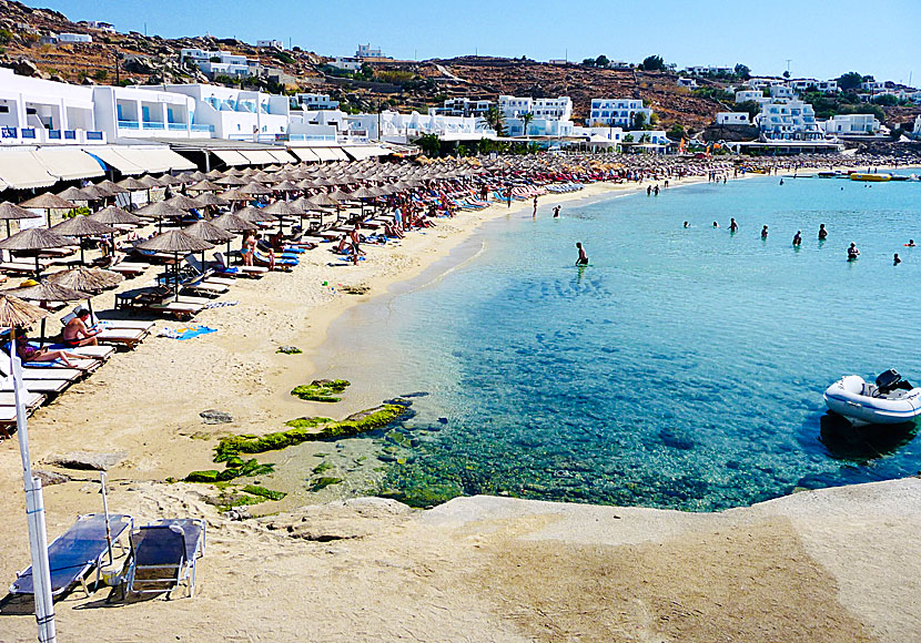 Platys Gialos beach på Mykonos i Grekland.