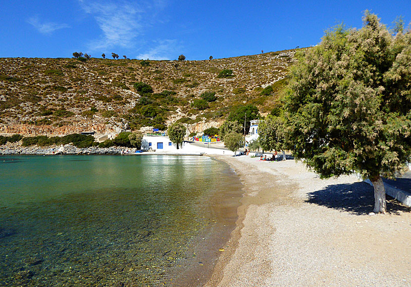 Skuggande tamarisker på stranden i Agios Georgios på Agathonissi i Grekland.