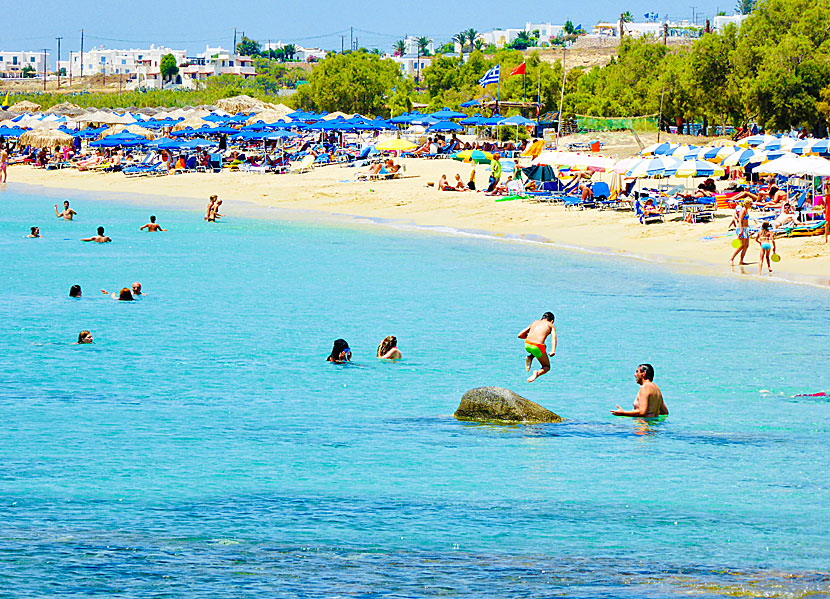 Agios Prokopios är en av Naxos många barnvänliga stränder.