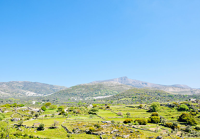 Vandra mellan byarna Apiranthos och Filoti på Naxos.