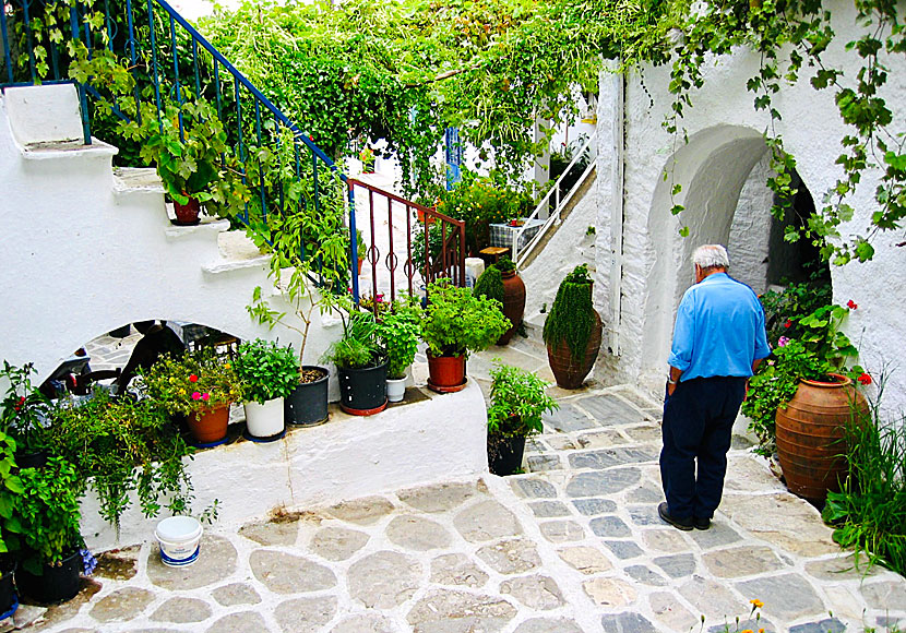 Blommor och gränder i bergsbyarna på Naxos landsbygd. 