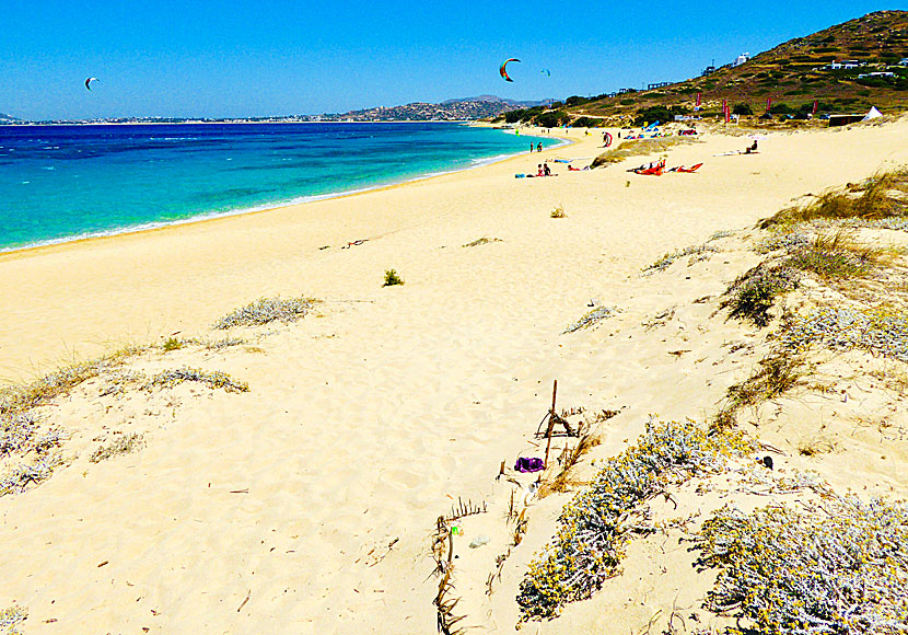 Sandstranden Mikri Vigla ligger efter Plaka och Orkos beach på västra Naxos.