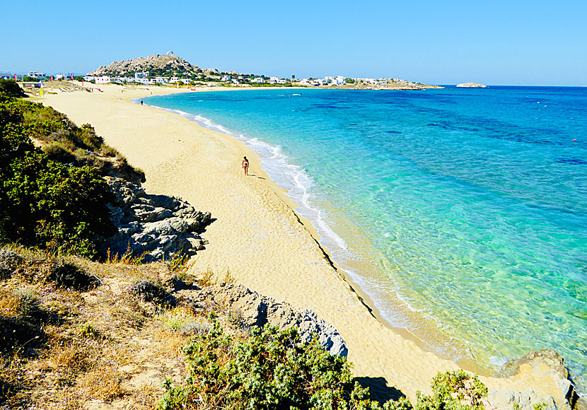 Mikri Vigla beach på Naxos i Kykladerna.