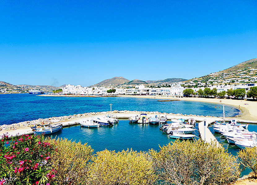 Paros bästa stränder. Parikia beach.