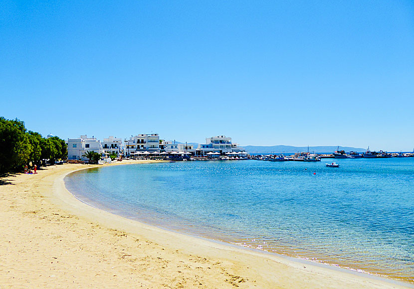 Paros bästa stränder. Piso Livadi beach.