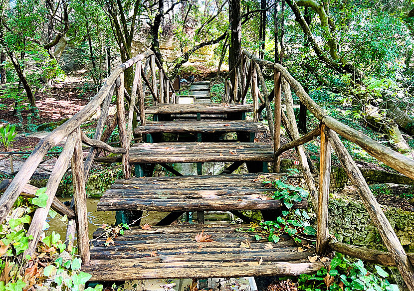 Träbroar i Rodiniparken. 