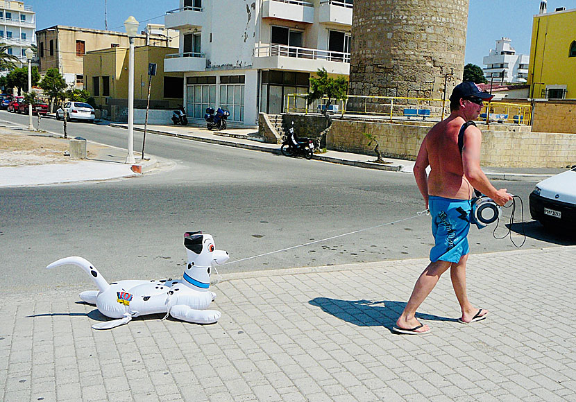 Finsk tango och vilda hundar i Rhodos stad. 