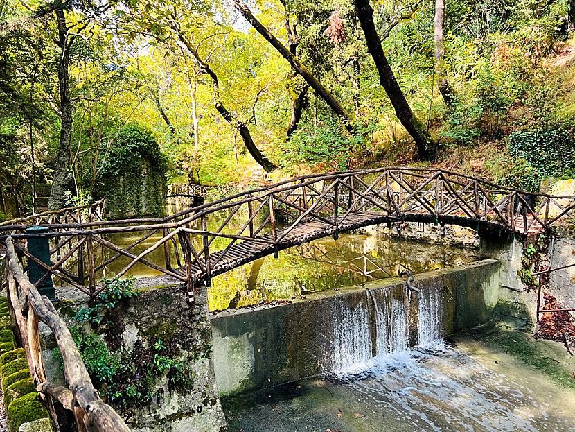 Rodiniparken ligger tre kilometer från centrum i Rhodos stad.