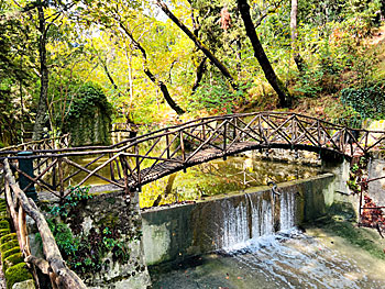 Rodiniparken i Rhodos stad.