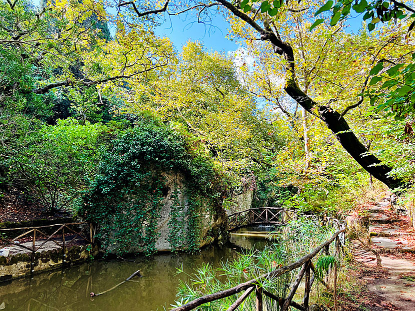 Vandra i Rodiniparken i Rhodos stad.