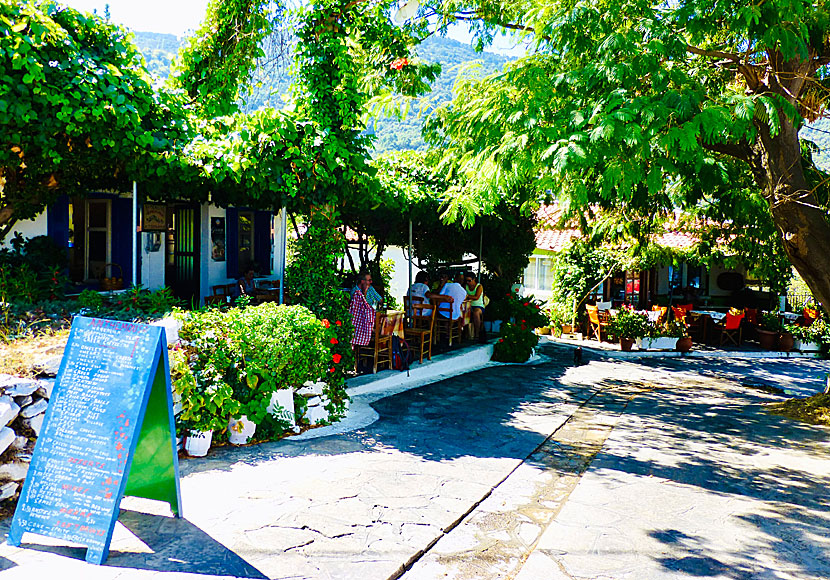 Taverna Anthemousa i Manolates på norra Samos.