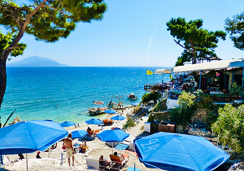 Pappa beach och Pappa beach Taverna nära Ireon på Samos.