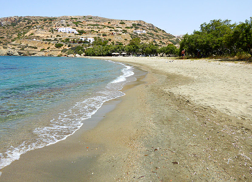 Tsigouri beach på Schinoussa