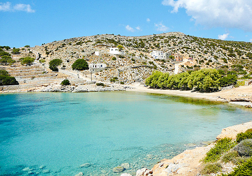 Mersini beach i hamnen på Schinoussa.