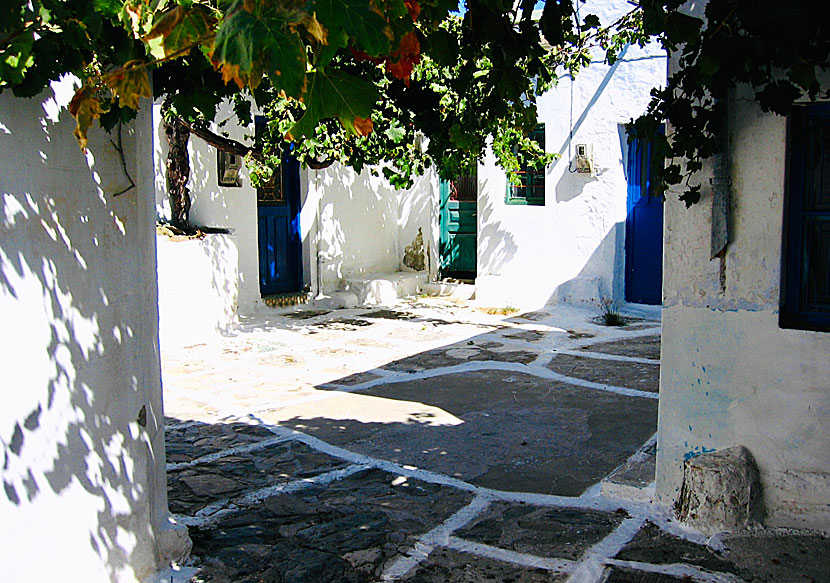 Torg, gränder, kafé och taverna i byn Panagia på Serifos.