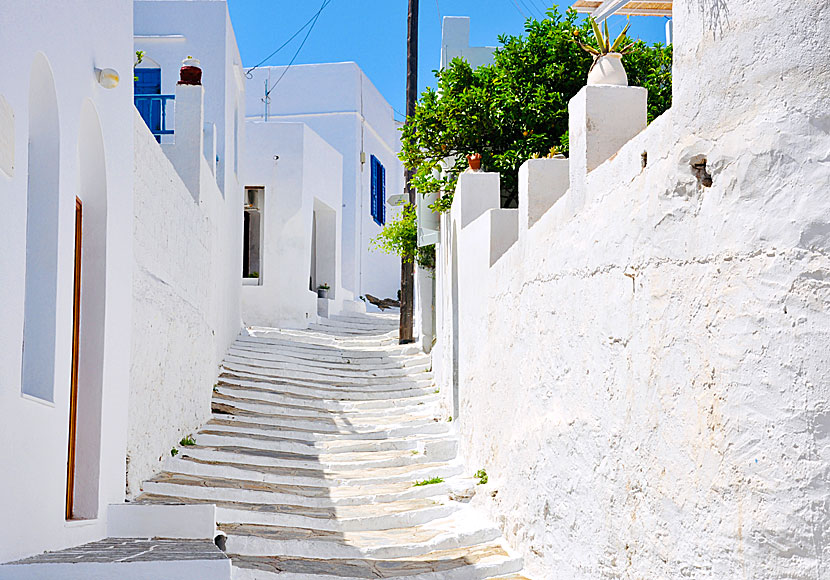 Kykladisk arkitektur i Apollonia på Sifnos.