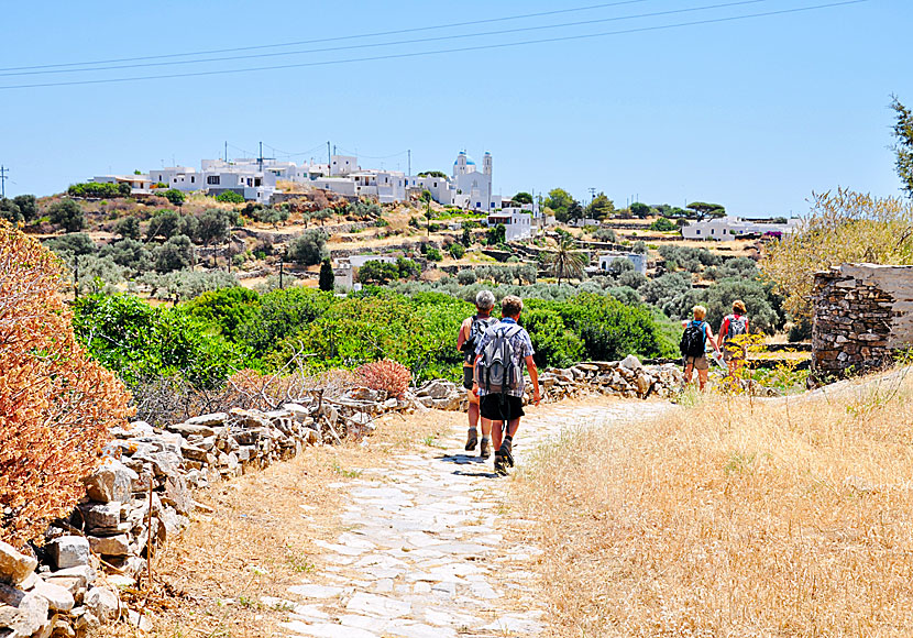 Vandringar på Sifnos i Kykladerna.