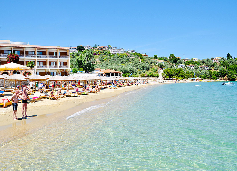 Achladies beach på Skiathos.