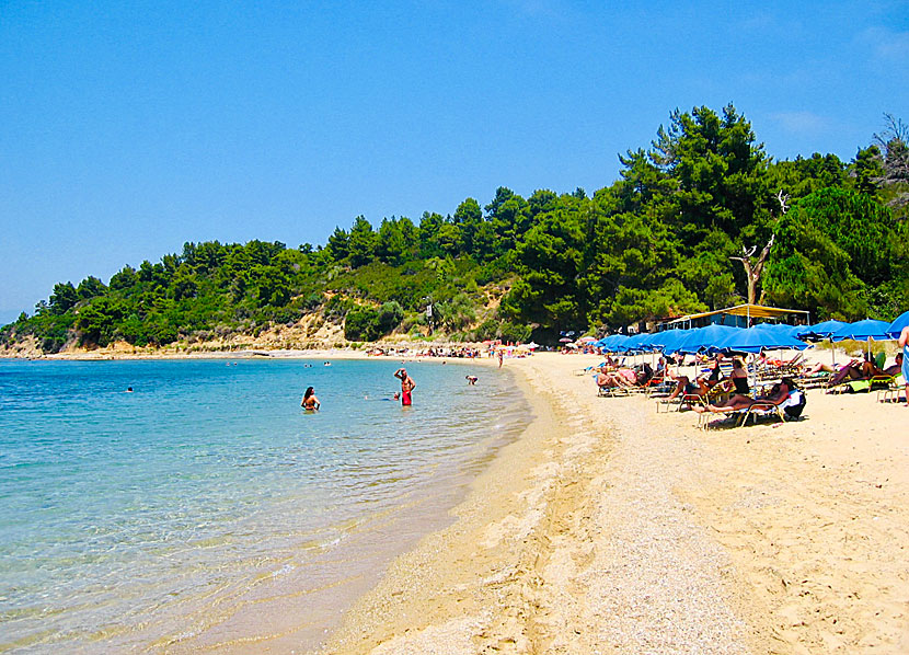 Agia Eleni beach på Skiathos.