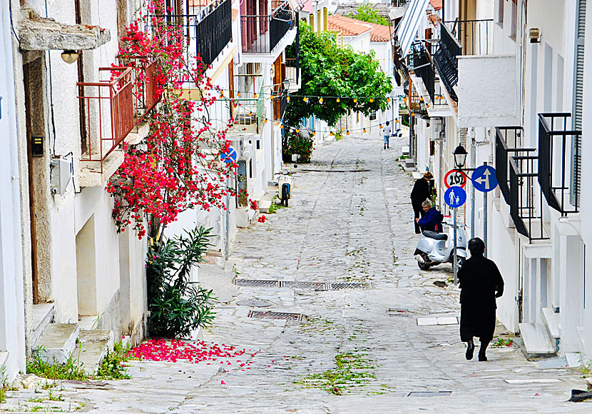 Oturistiska Skiathos stad.