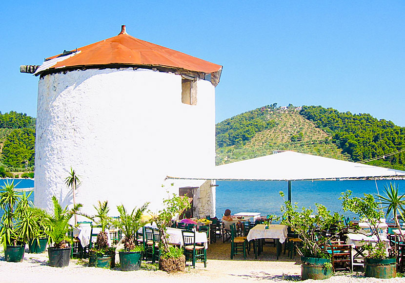 Mylos Taverna i Skiathos stad.