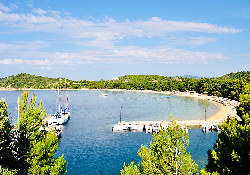 Koukounaries beach på Skiathos i Sporaderna.