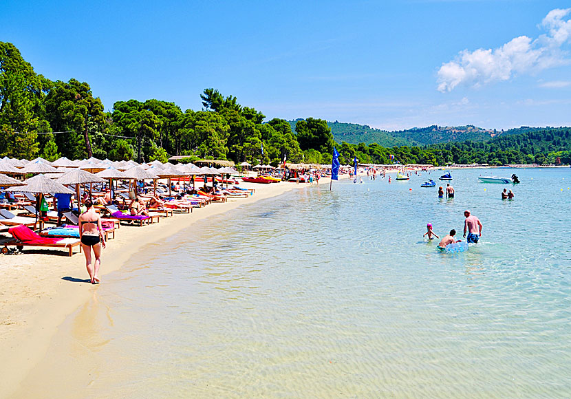 Koukounaries beach ligger cirka 10 kilometer väster om Skiathos stad. 