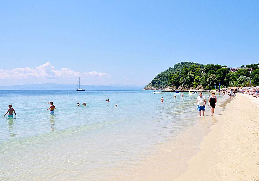 Vandra mellan stränderna på Skiathos med start på Koukounaries beach.