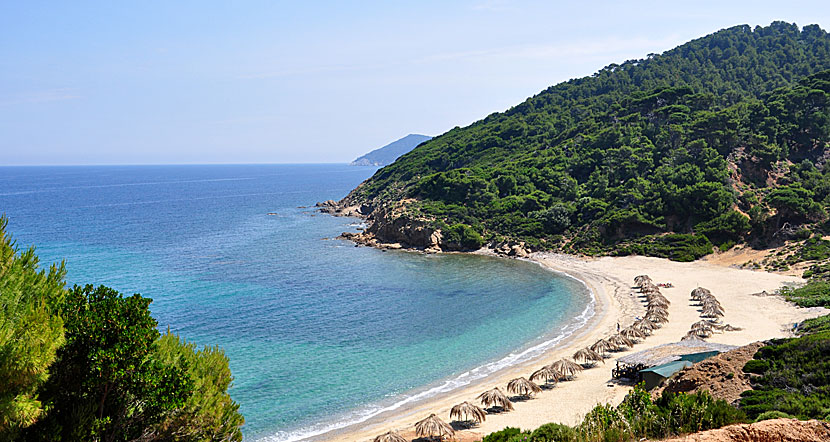 Agistros beach. Skiathos.