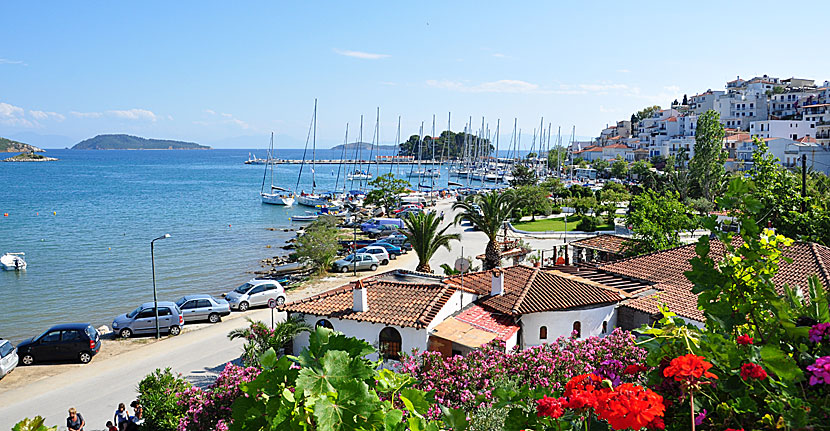 Utsikt från Hotel Alkyon i Skiathos stad.