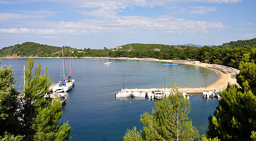 Koukounaries beach. Skiathos.