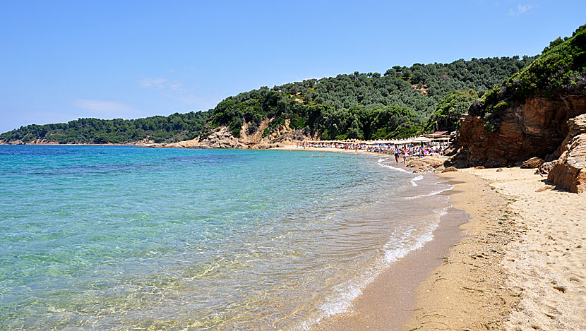 Little Banana beach. Skiathos.