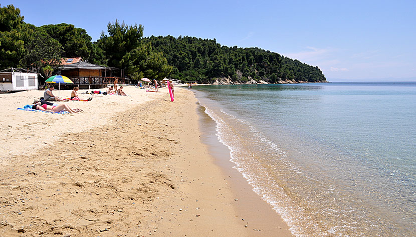 Troulos beach. Skiathos.