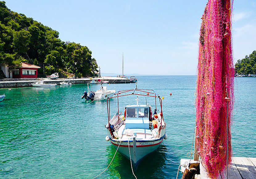 Hamnen i Agnontas på Skopelos.