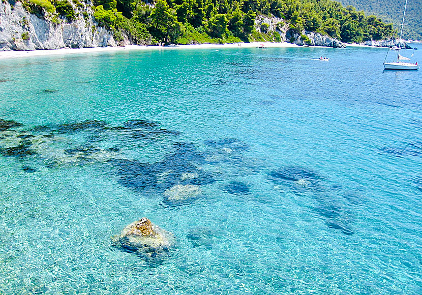 Megalo Pefko beach nära Hovolo beach på Skopelos.