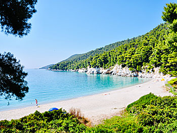 Kastani beach på Skopelos.