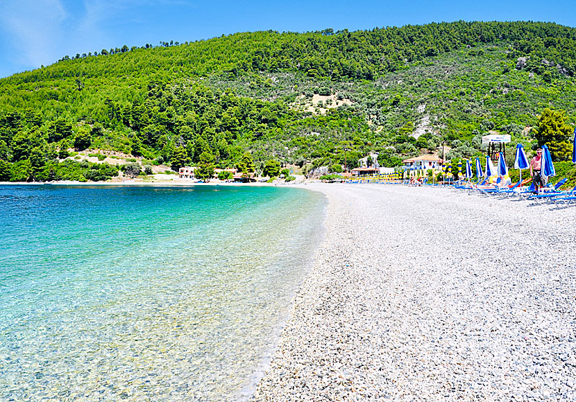 Panormos beach på Skopelos.