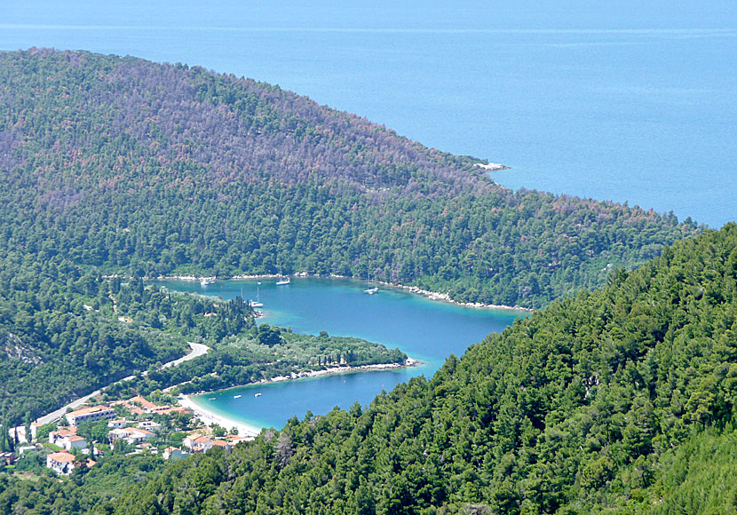 Panormos och Blo Bay på Skopelos i Grekland.