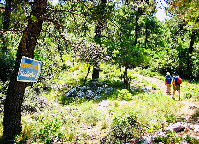 Vandra till gravarna i Sendoukia på Skopelos i Sporaderna.