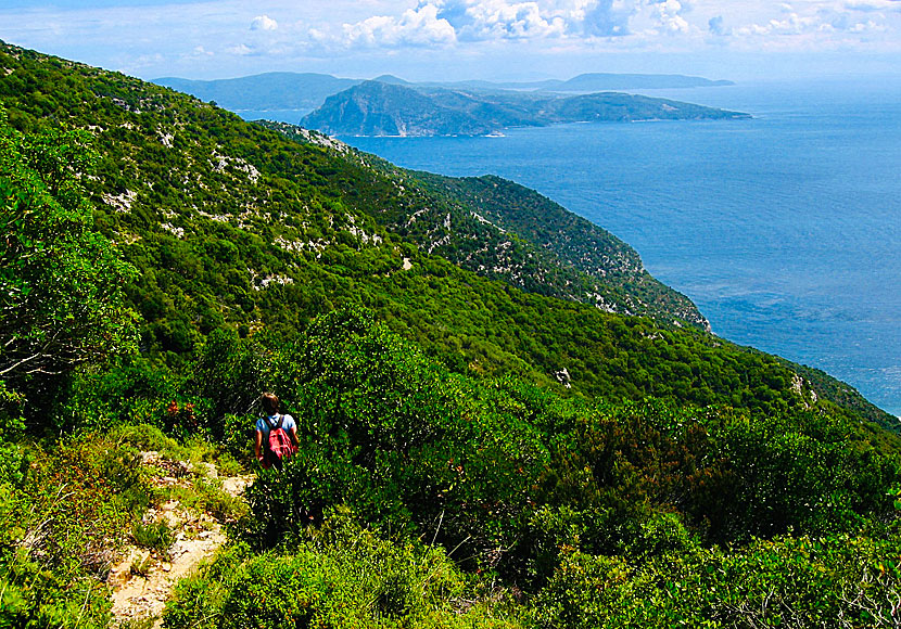 Skopelos bjuder på mycket vackra vyer under vandringarna. 